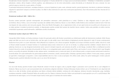 Firefox_Screenshot_2026-03-27T05-37-49.604Z