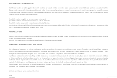 Firefox_Screenshot_2026-03-27T06-58-10.906Z